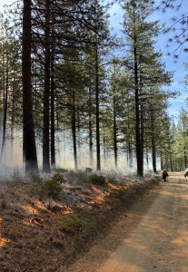 Defensible Space Fire Break